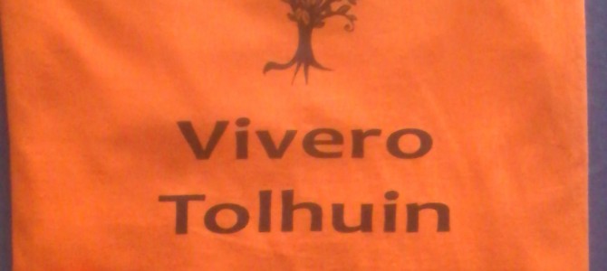Remeras Manga Larga Estampadas para «Vivero Tolhuin»