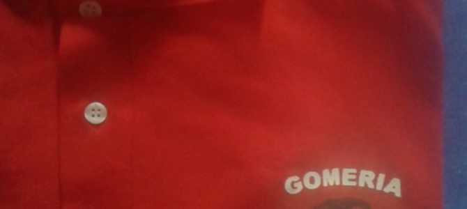 Remeras y Chombas Estampadas para Gomería «El Santia» Remeras y Chombas Estampadas para Gomería «El Santia»