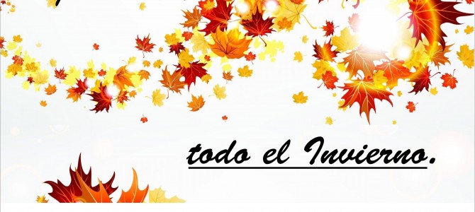 Buzos, Canguros y Camperas Estampadas